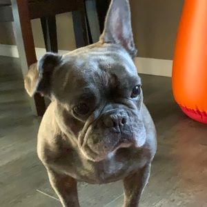 Meet your Posher, Itzel